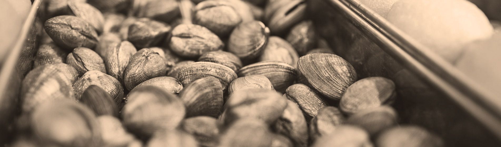 Crevette calibre 10/15 - 20/30 - 40/60