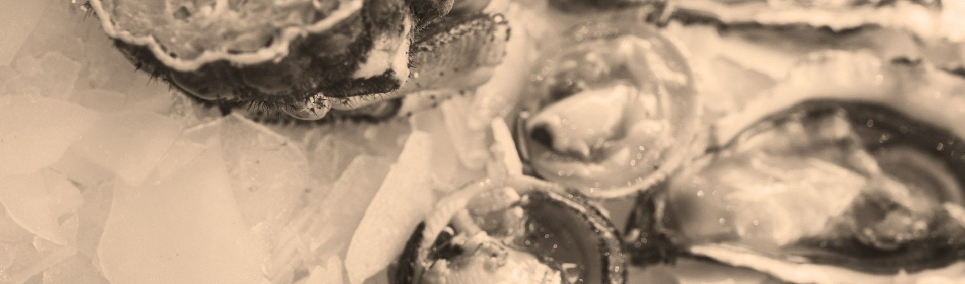 Commander crevette calibre 10/15 - 20/30 - 40/60