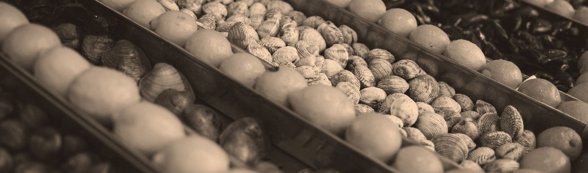 Crevette Gémenos (13420)