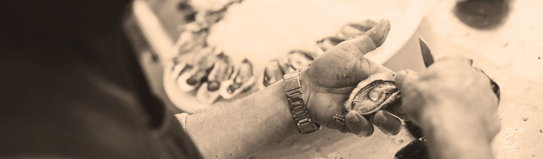 Crevette calibre 10/15 - 20/30 - 40/60