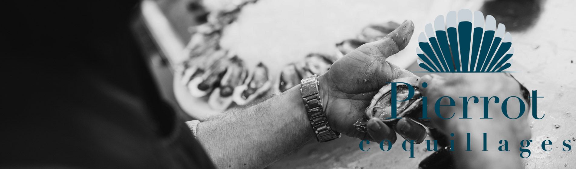 Crevette grise calambo