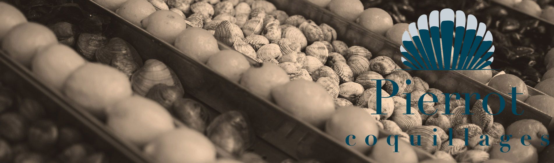 Degustation fruit de mer