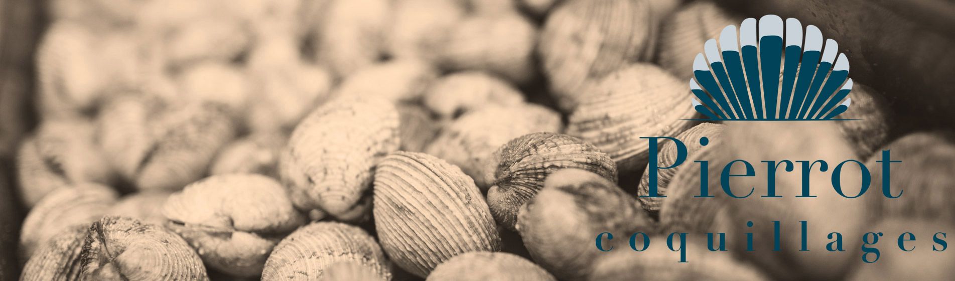 Degustation fruit de mer