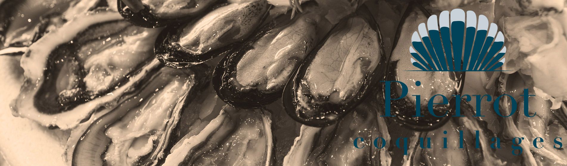 Degustation fruit de mer