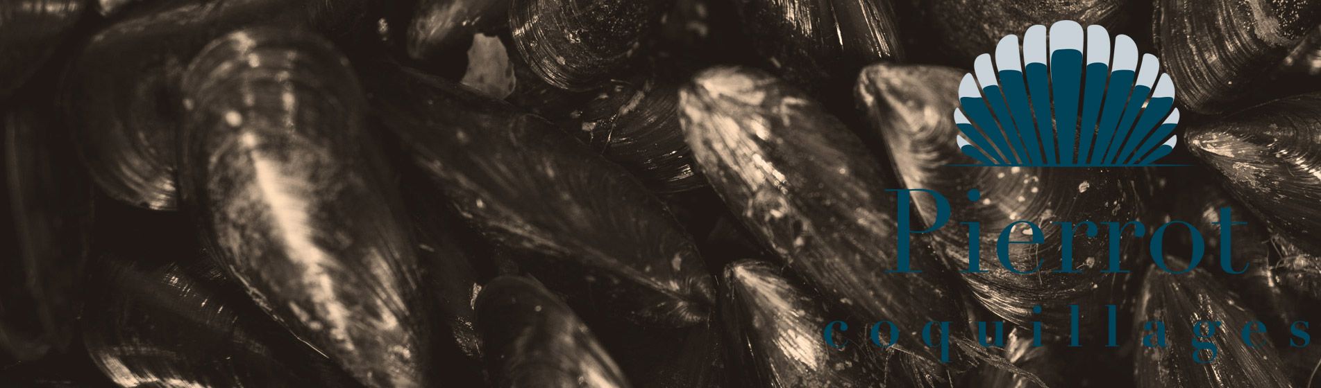 Degustation fruit de mer