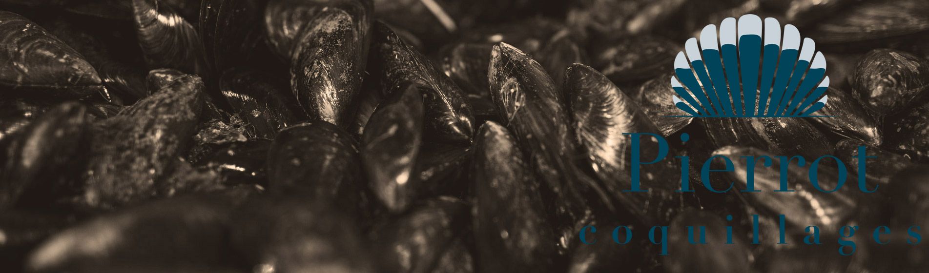 Degustation fruit de mer