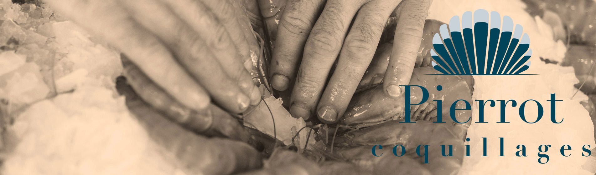 Degustation fruit de mer