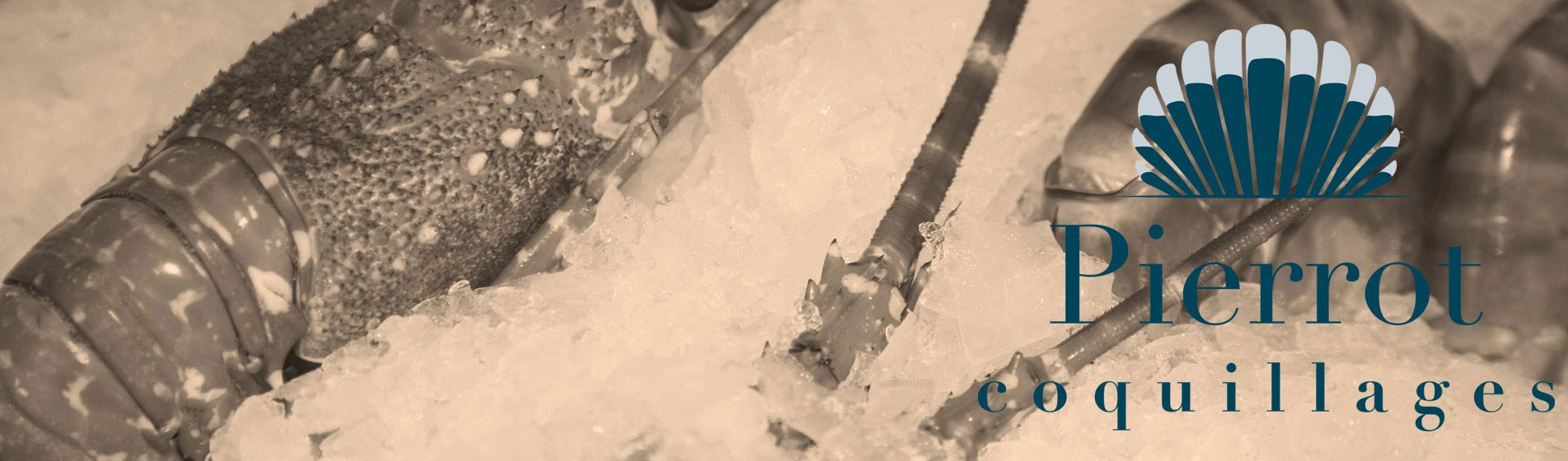 Degustation fruit de mer