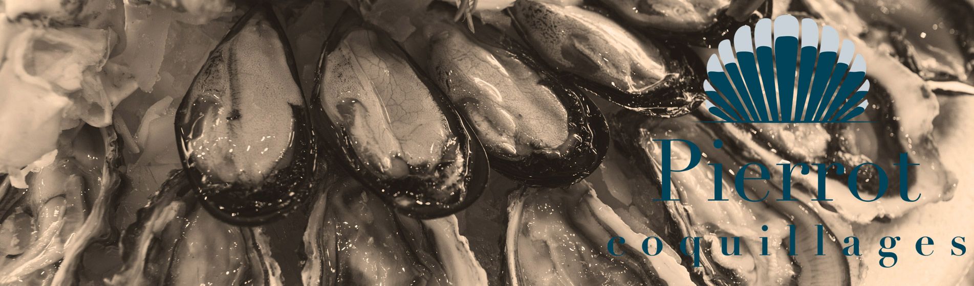 Degustation fruit de mer