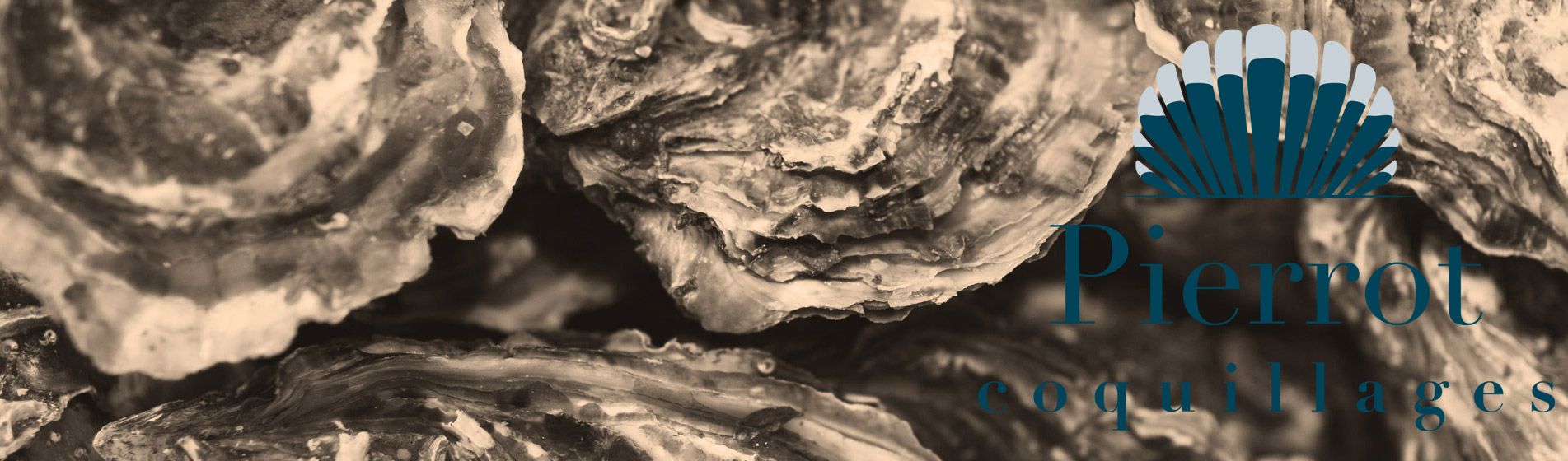 Degustation fruit de mer