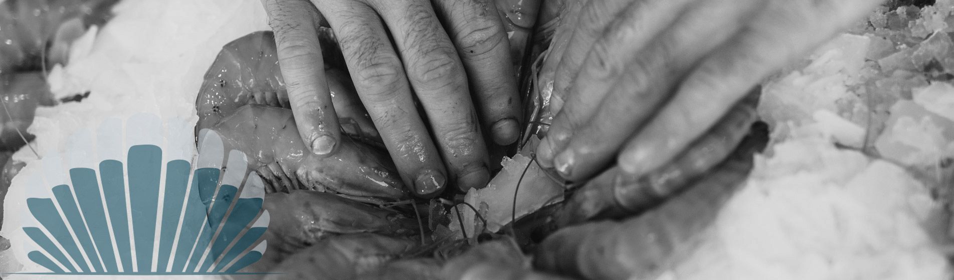 Homard Gignac-La-Nerthe (13180)