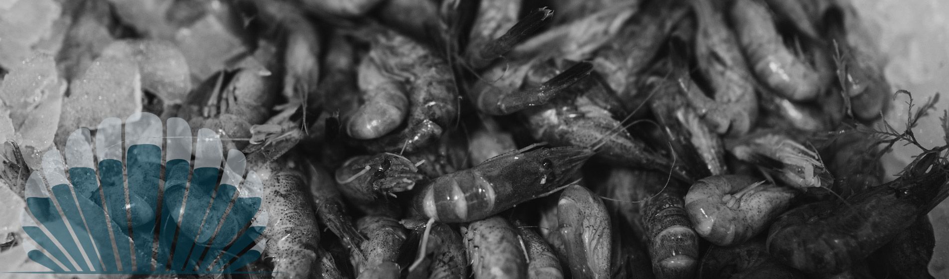 Prix homard Gignac-La-Nerthe (13180)