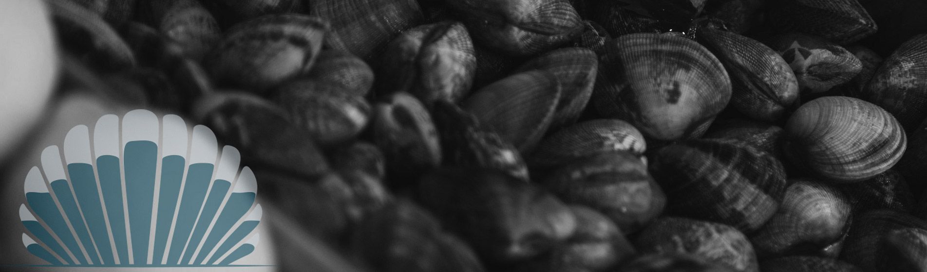 Vente a emporter huitre