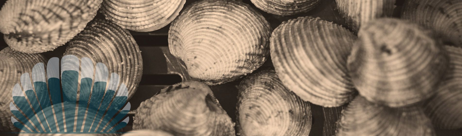 Vente a emporter huitre bouzigues