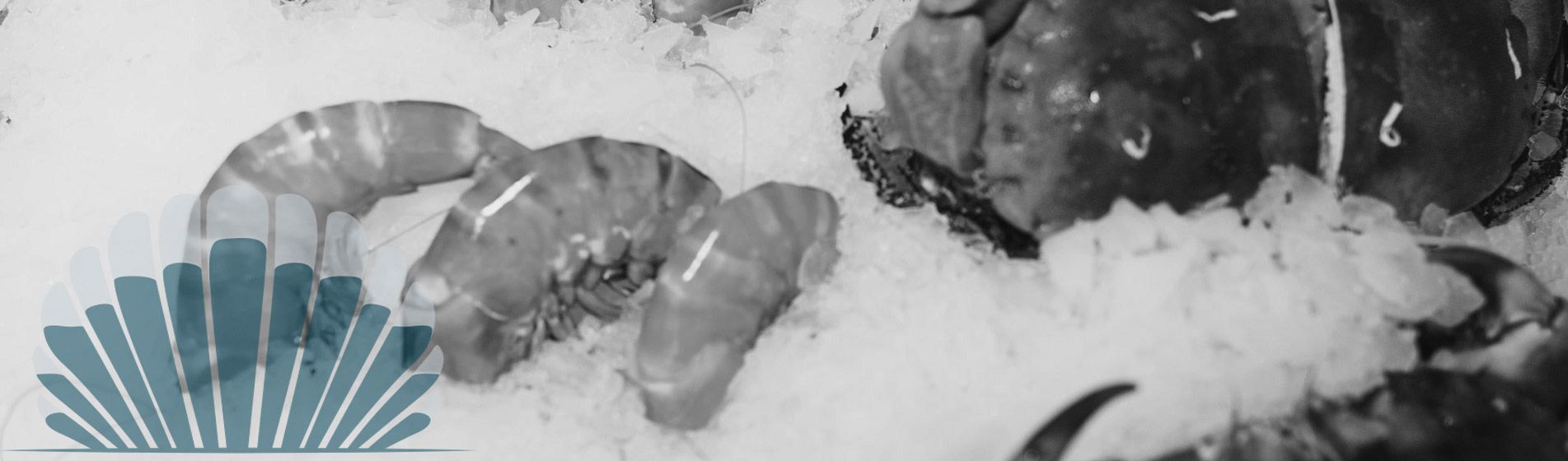 Vente a emporter huitre