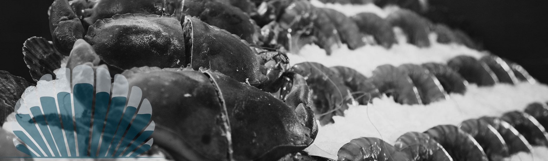 Bar huitre isigny sur mer