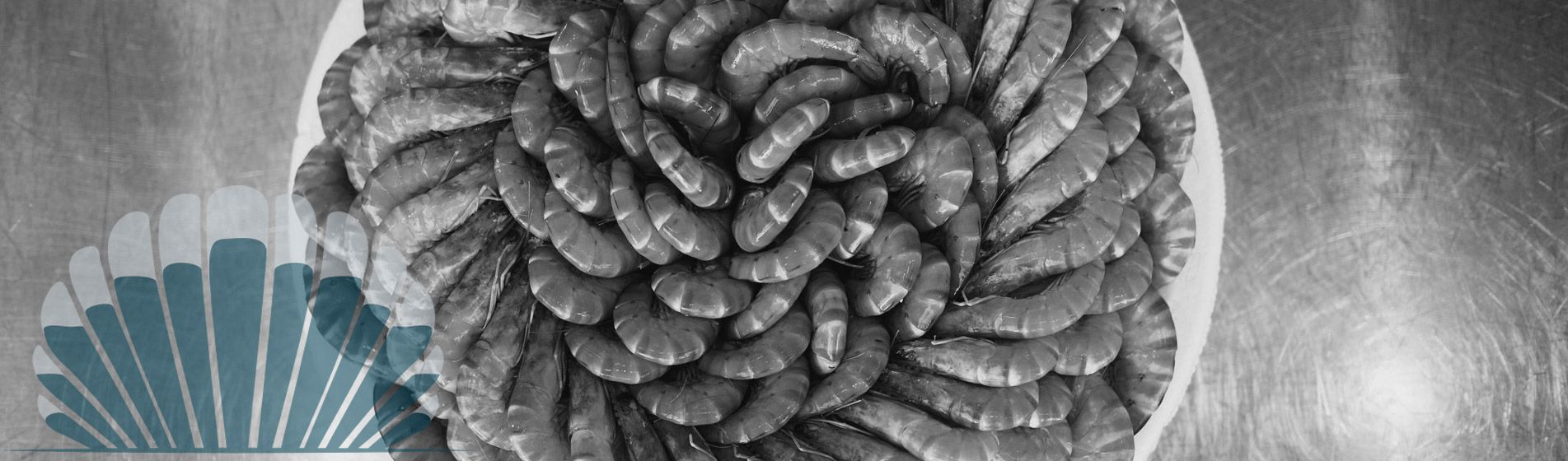 Vente a emporter huitre midi et soir