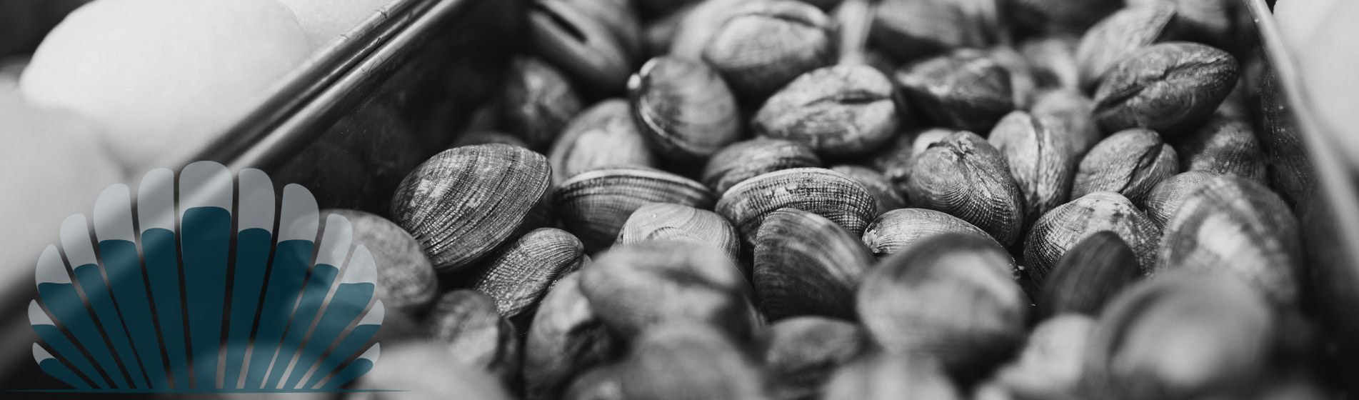 Bar huitre bouzigues