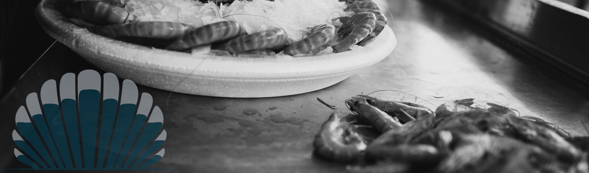 Degustation huitre isigny sur mer