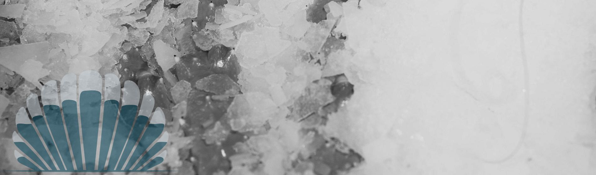 Bar huitre gillardeau