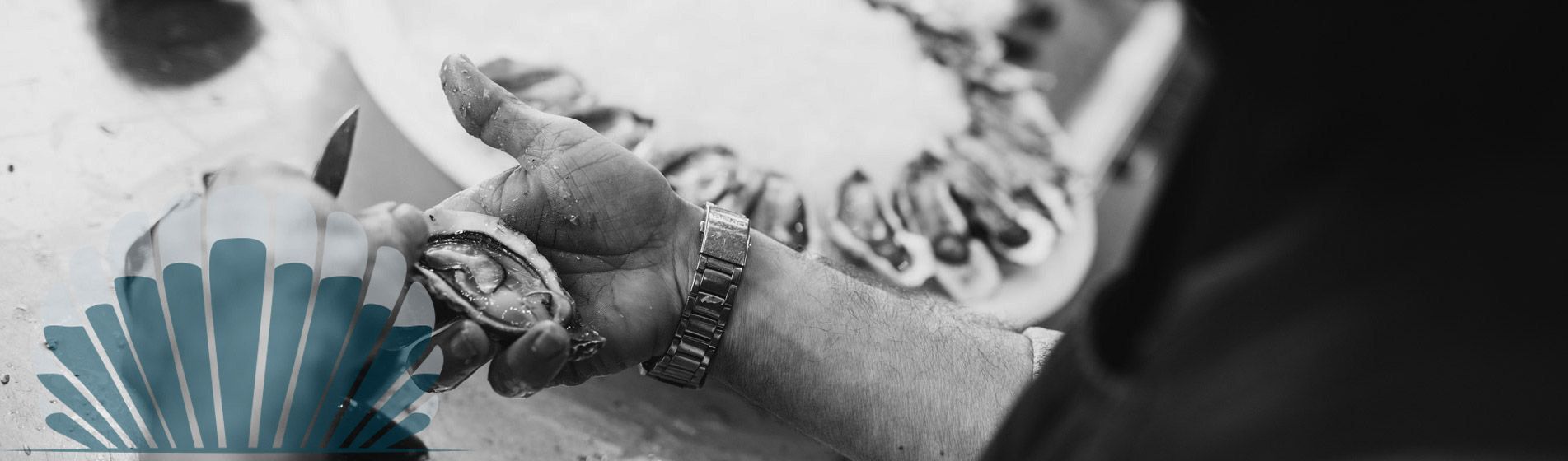 Prix huitre bouzigues