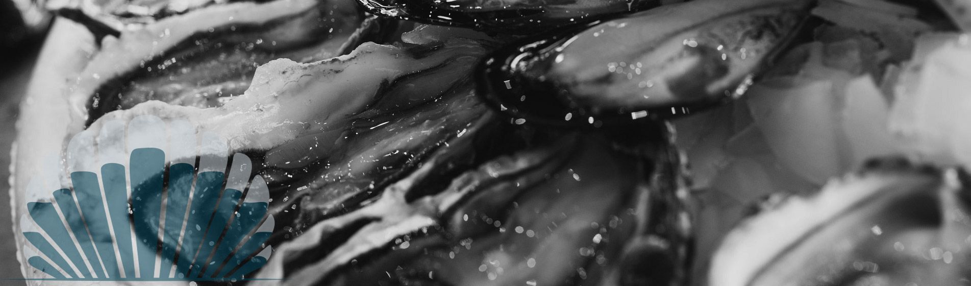 Bar huitre isigny sur mer