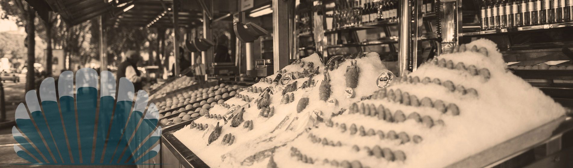 Degustation huitre isigny sur mer