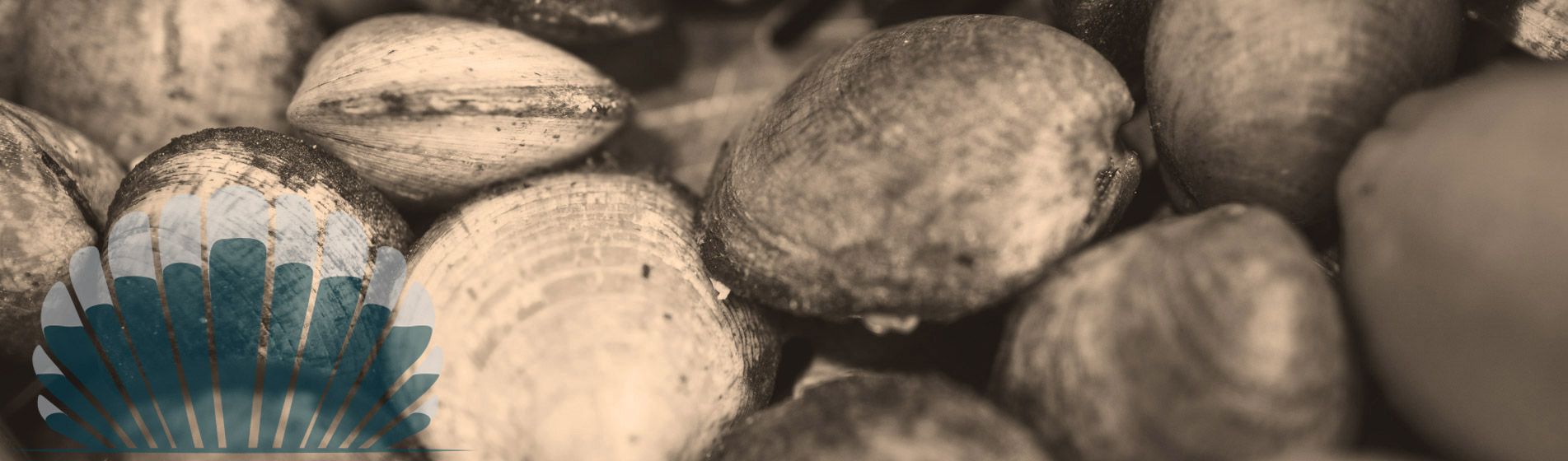 Bar huitre gillardeau