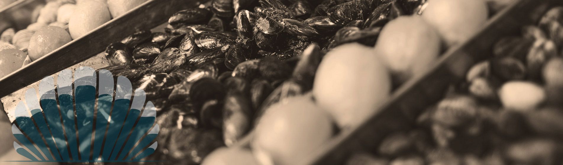 Vente a emporter huitre