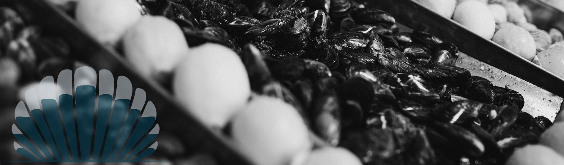 Bar huitre isigny sur mer