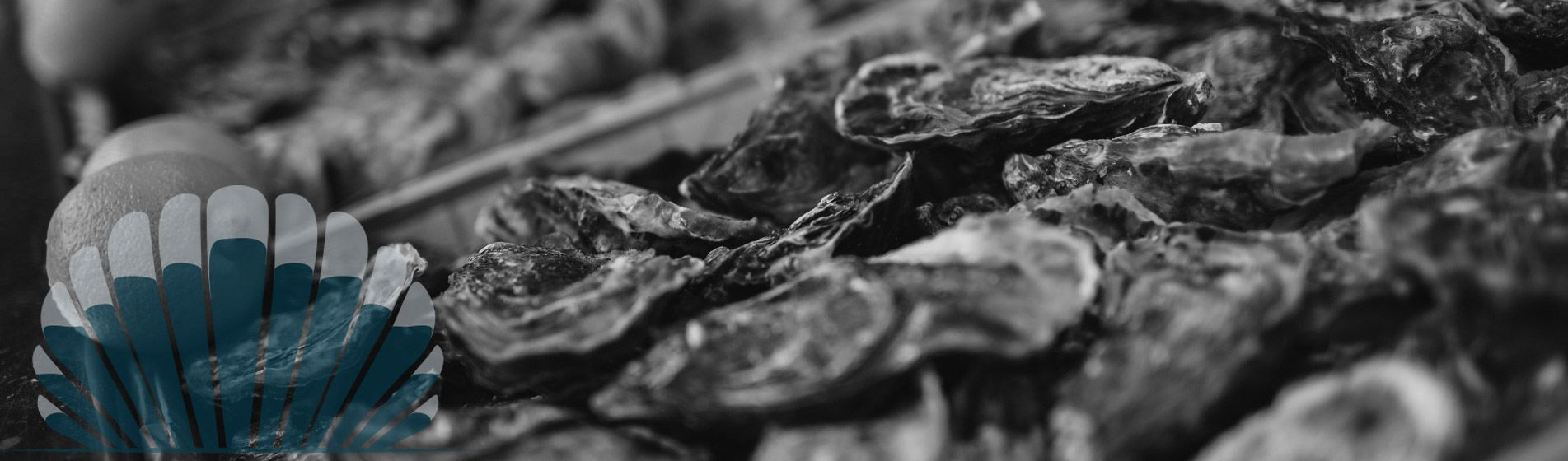 Vente a emporter huitre midi et soir