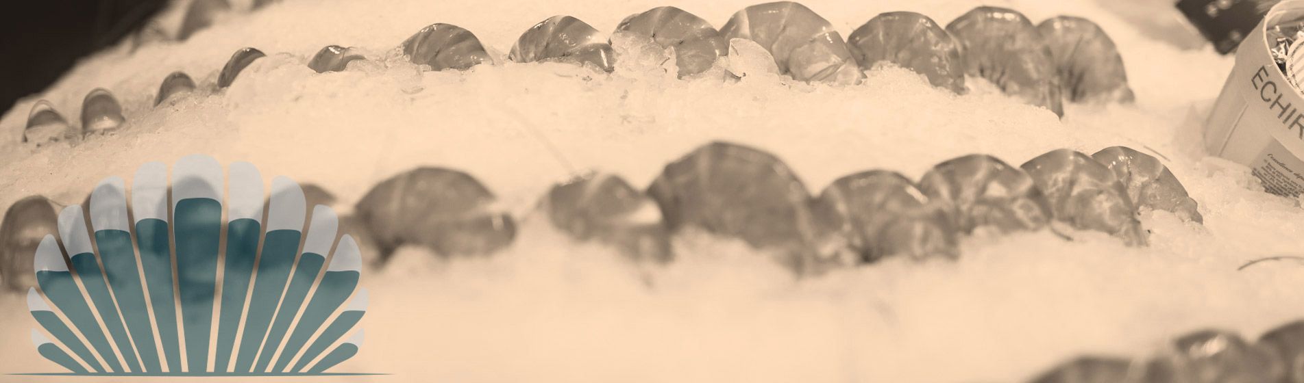 Bar huitre bouzigues