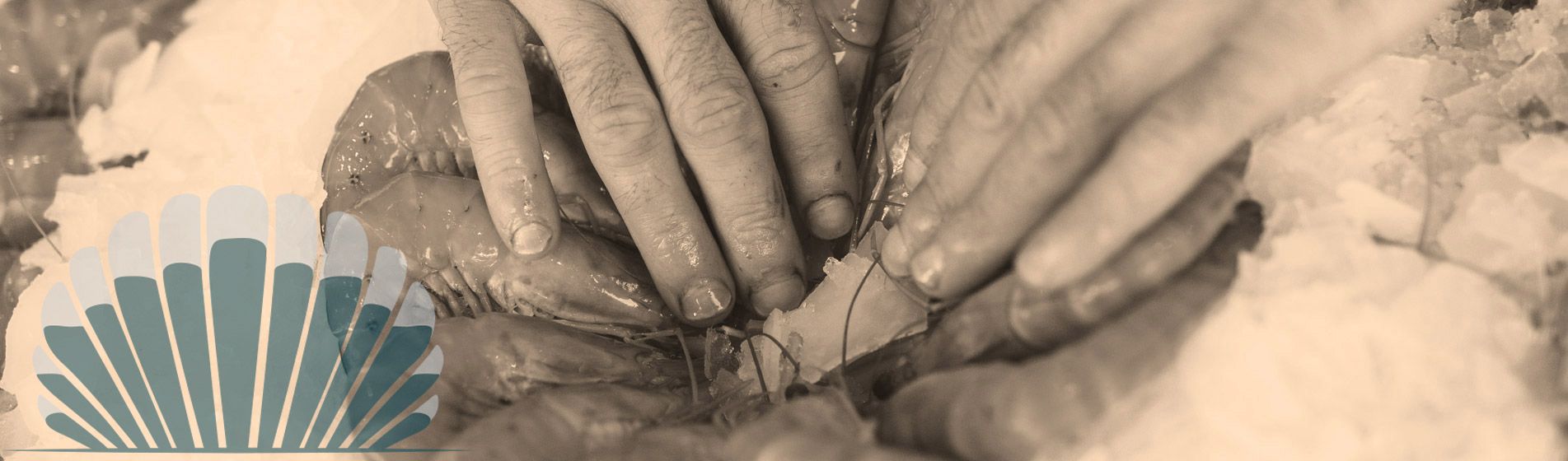 Vente a emporter huitre bouzigues