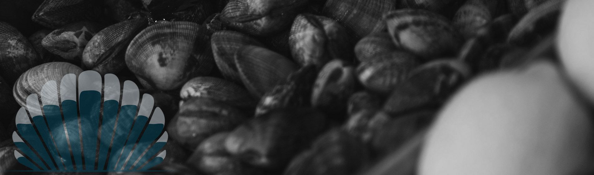 Bar huitre isigny sur mer