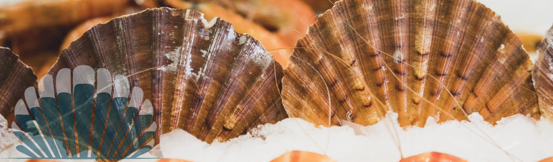 Commander langouste fraiche