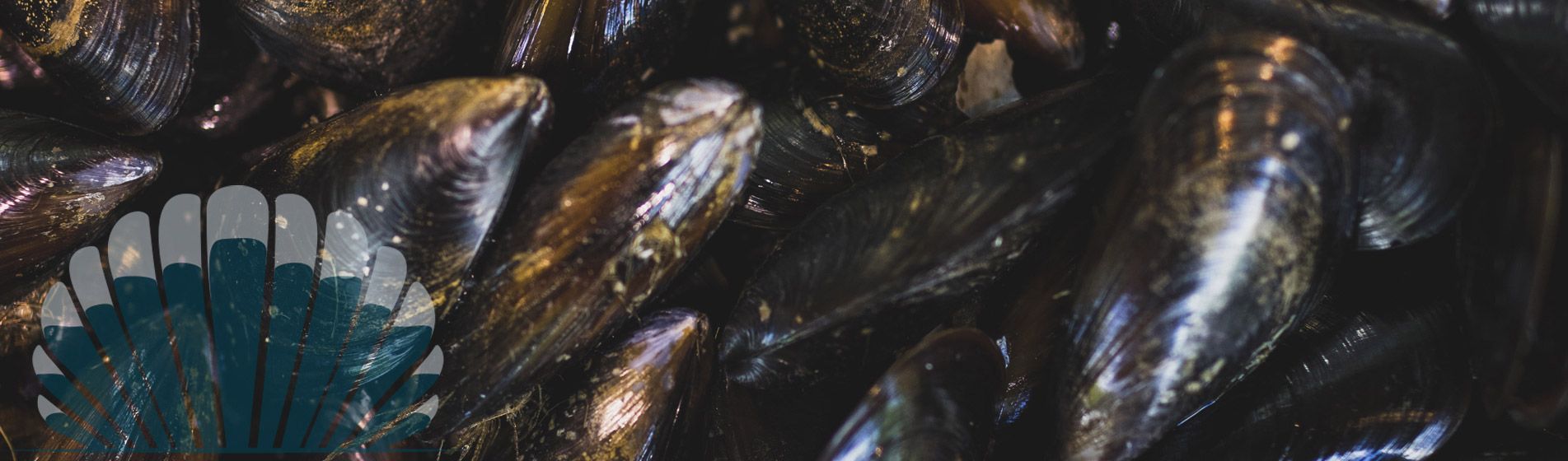 Livraison langouste prete a deguster