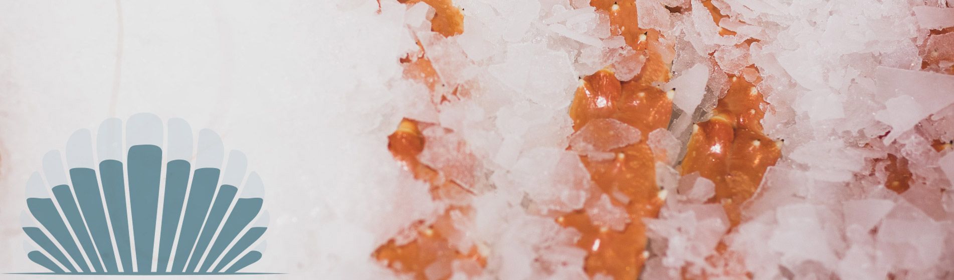 Commander langouste prete a deguster