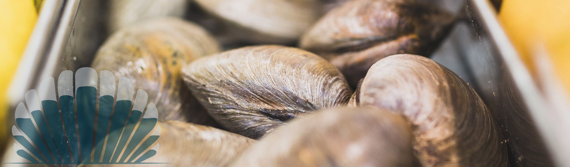 Livraison langouste prete a deguster