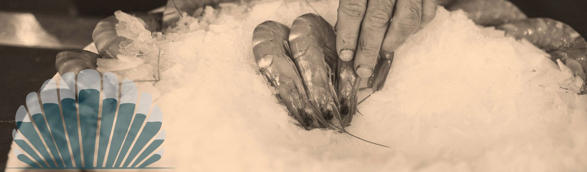 Livraison langouste prete a deguster