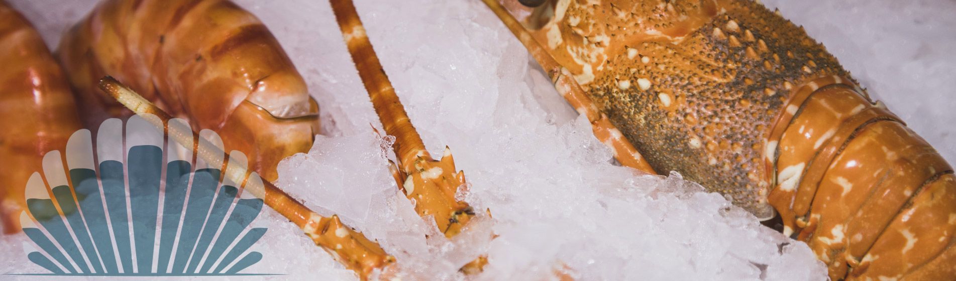 Livraison langouste prete a deguster