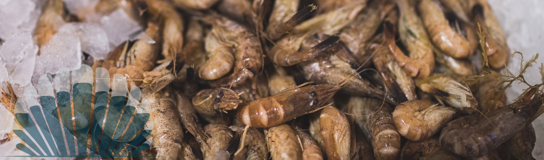 Langouste Gémenos (13420)