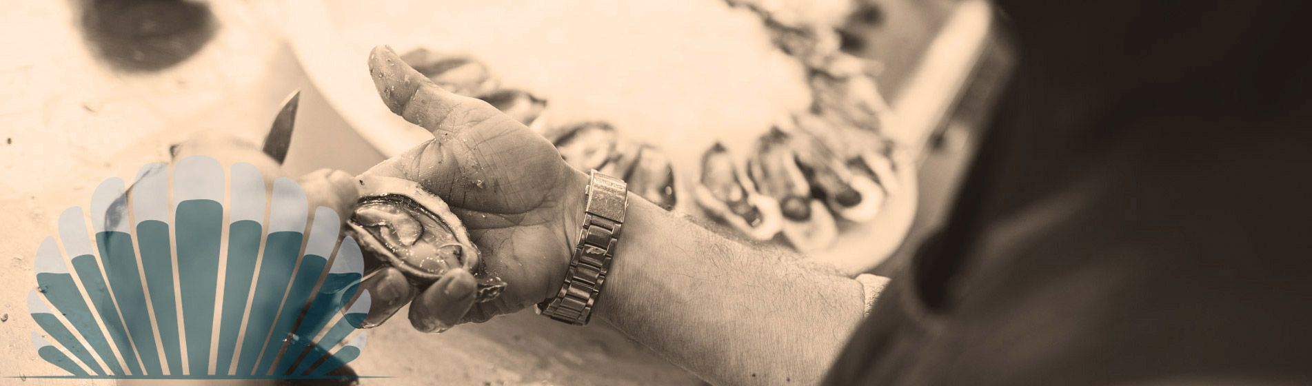 Langouste Marseille (13000)