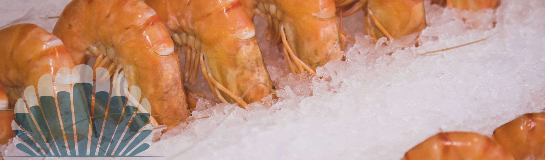 Commander langouste prete a deguster