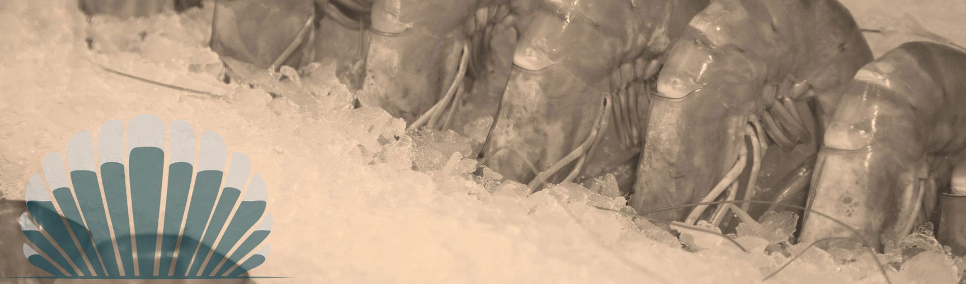 Livraison langouste prete a deguster