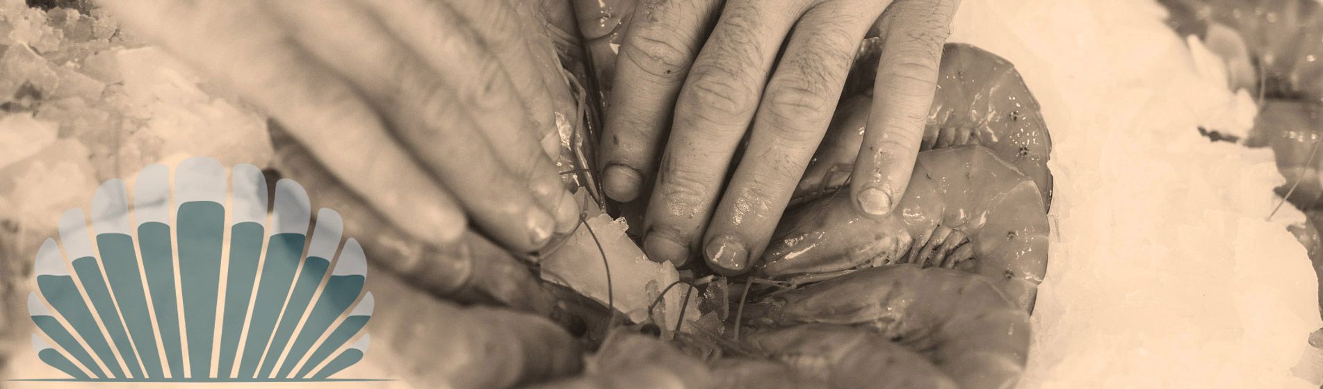 Langouste Cadolive (13950)