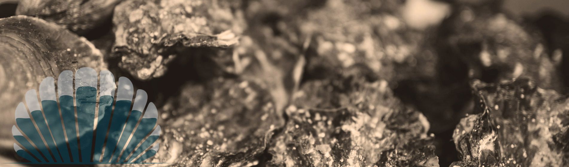 Langouste Roquevaire (13360)