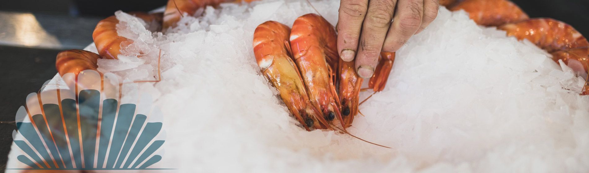 Langouste Aubagne (13400)