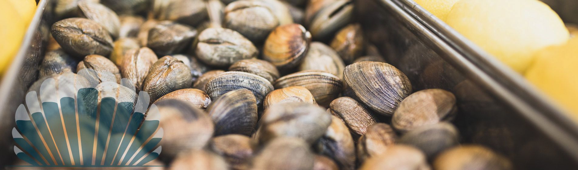 Commander langouste fraiche