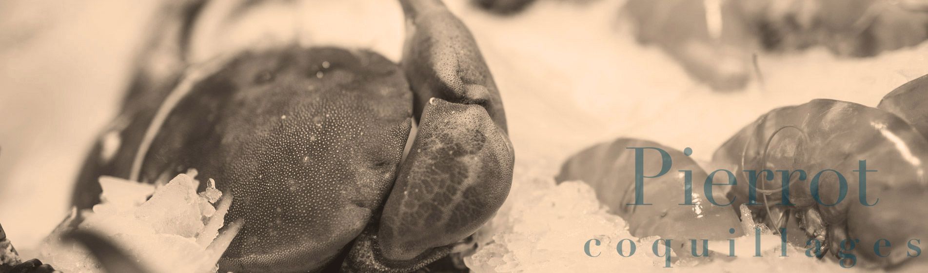 Moule Cuges-Les-Pins (13780)