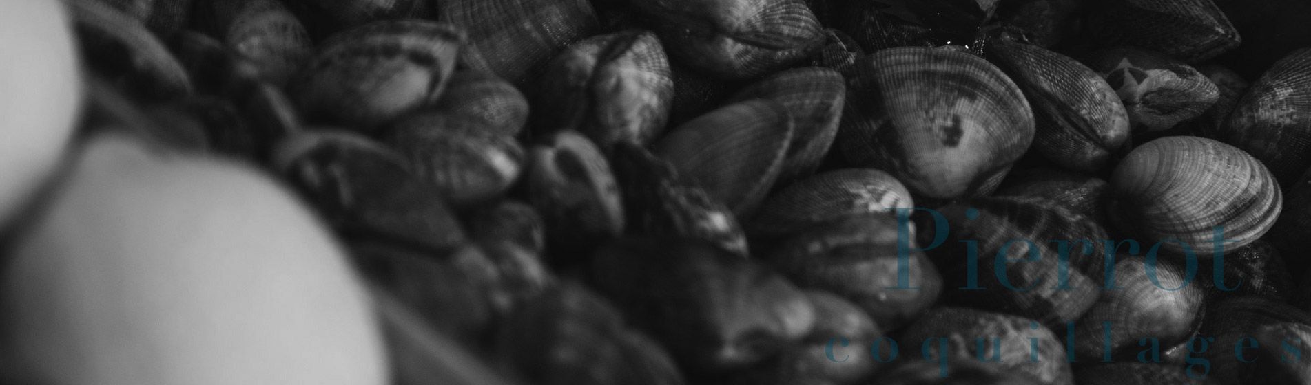 Livraison moule marinières